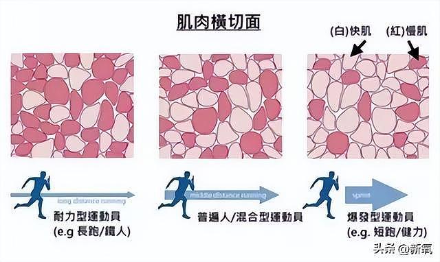 贾静雯暴瘦后大变样？50岁颜值回春，腰臀比绝顶！ - 22