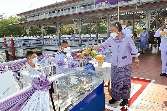 诗琳通公主亮相庆祝69岁生日！穿紫裙亮相消瘦了很多，头发都白了 - 9