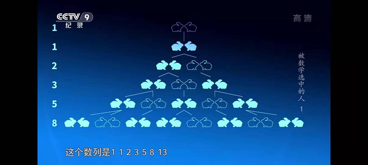 这部央视出品的数学纪录片，让孩子爱上数学 - 13