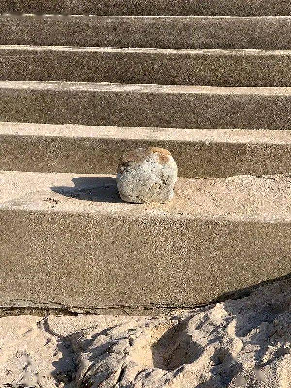在沙滩上远远看到一猫，高兴地冲过去一看，原来是石头！ - 2