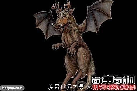 泽西魔怪真实事件（泽西恶魔到底是怎样的）