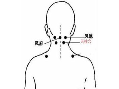 头疗的基本步骤   头部经络图解大全图片及作用 - 4