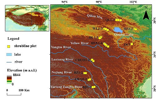 青藏高原山生柳灌木线样地的空间分布图（课题组供图）