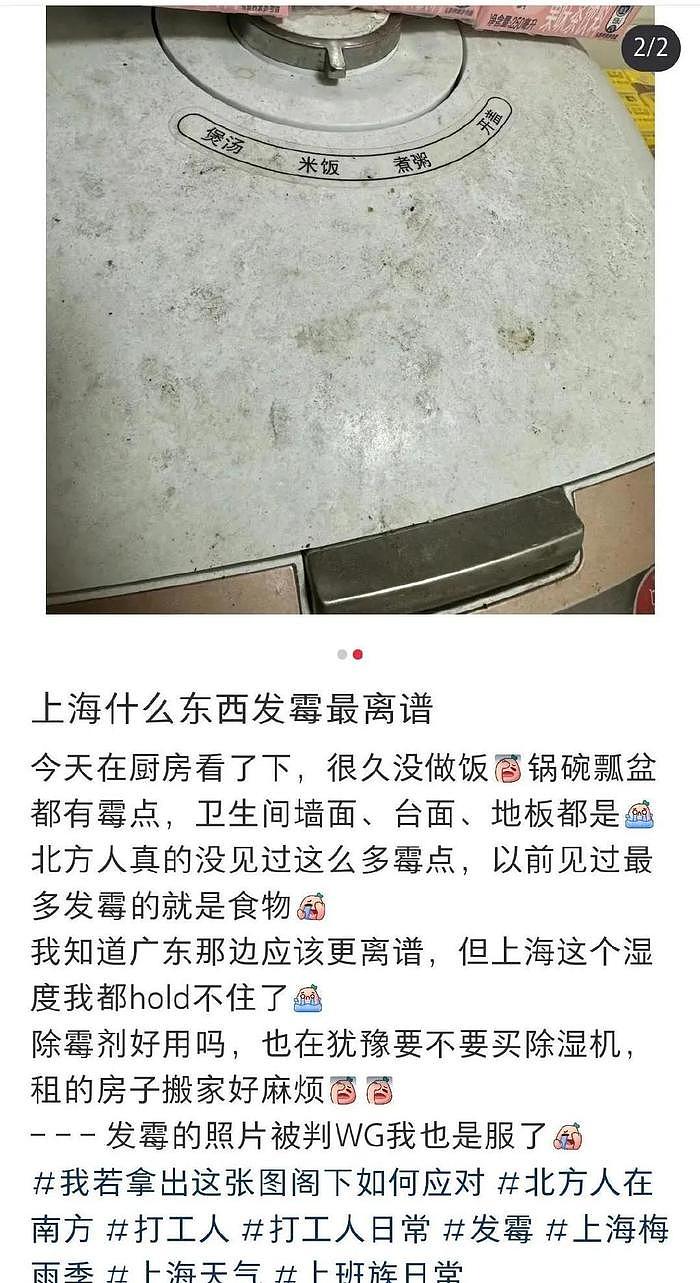 上海大雨，陈赫和陈龙屋里下小雨，网友围观点评，留言让人笑喷饭 - 26