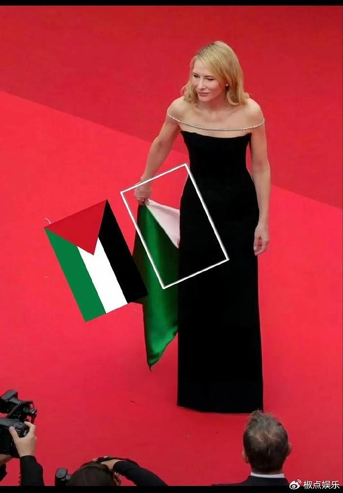 伟大的女性，赌上未来的前途，她让巴勒斯坦国旗绽放在全世界面前 - 2