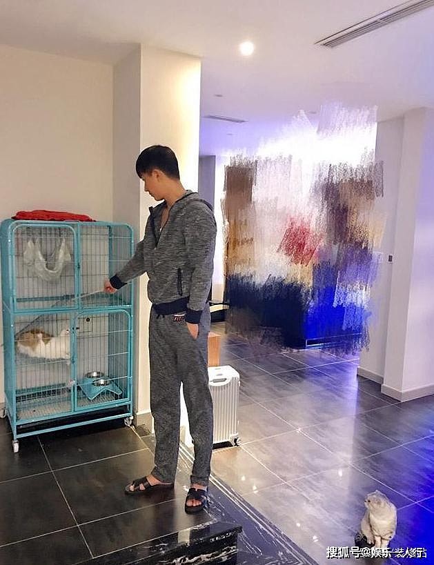 35岁韩庚坐拥奢华豪宅，装修温馨时尚，连宠物猫也有专属“别墅” - 5