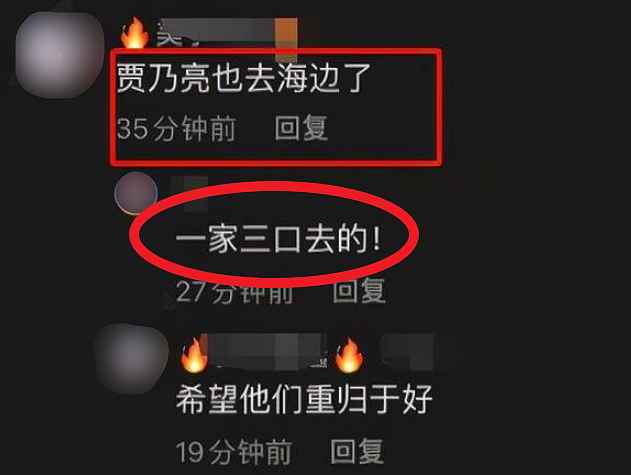 贾乃亮李小璐带甜馨去动物园？贾乃亮为母女俩拍照疑与李小璐复合 - 9