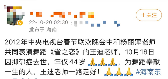 国家一级演员王迪因抑郁症去世，曾登春晚与杨丽萍合作，年仅44岁 - 1