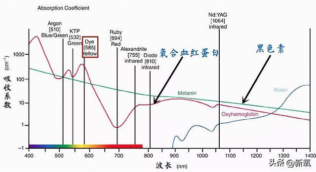 结婚7年还要被骂借肚上位？她才是娱圈最惨嫂子吧 - 16