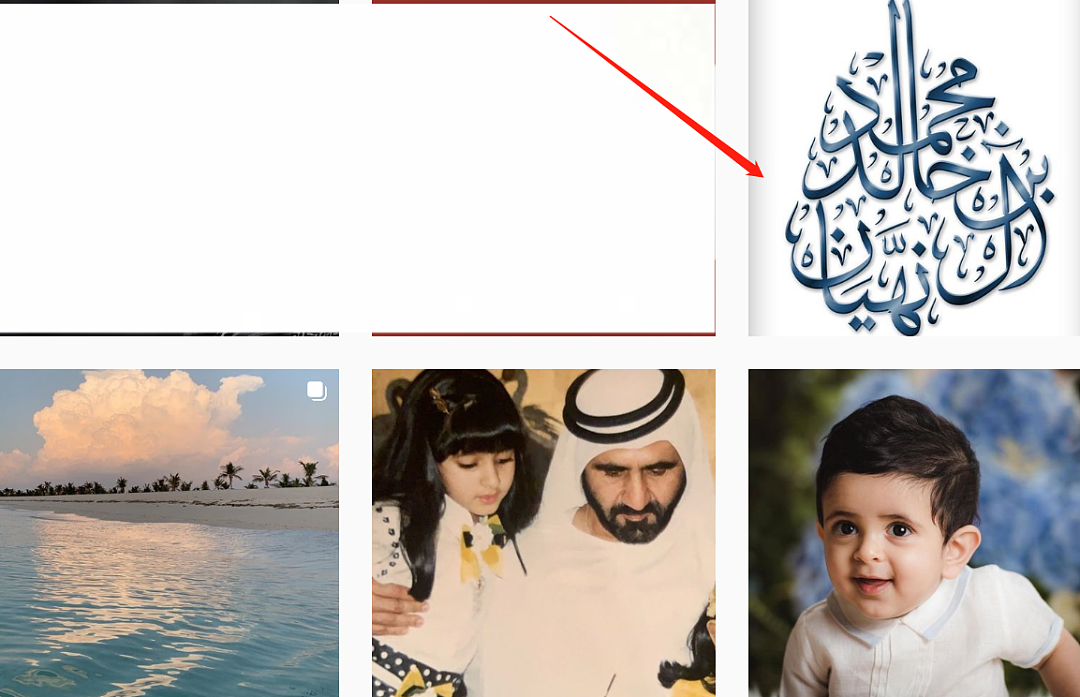 与众不同的王室网红，迪拜最美公主公开个人账号，内容却令人心酸 - 19