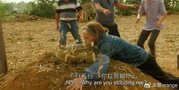 台湾的张艾嘉，在内地拍了一部“迁坟”的电影，治好了我的精神内耗 - 8