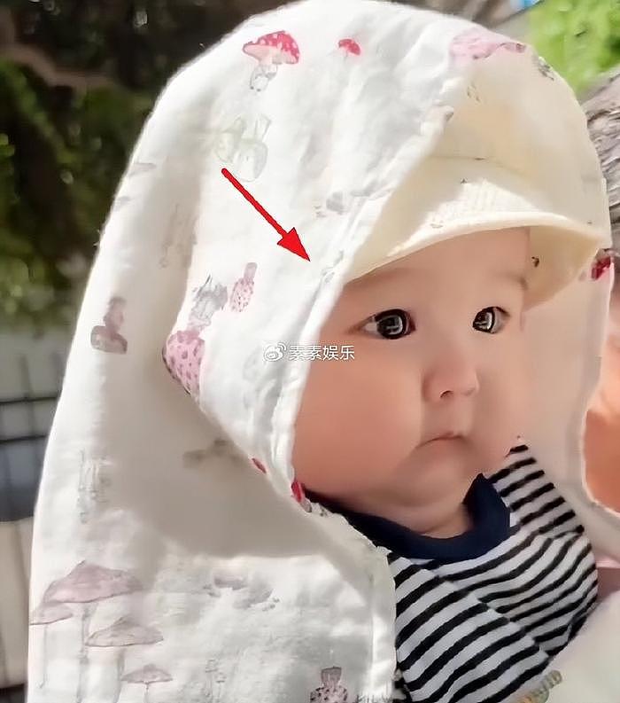 赵本山外孙4个月18斤，遗传外公的“猪腰子”脸，笑起来太像了 - 7