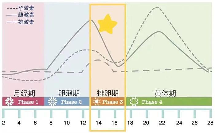 郑秀文演唱会生图被骂上热搜？！谁规定女性必须前凸后翘才是美丽？ - 31