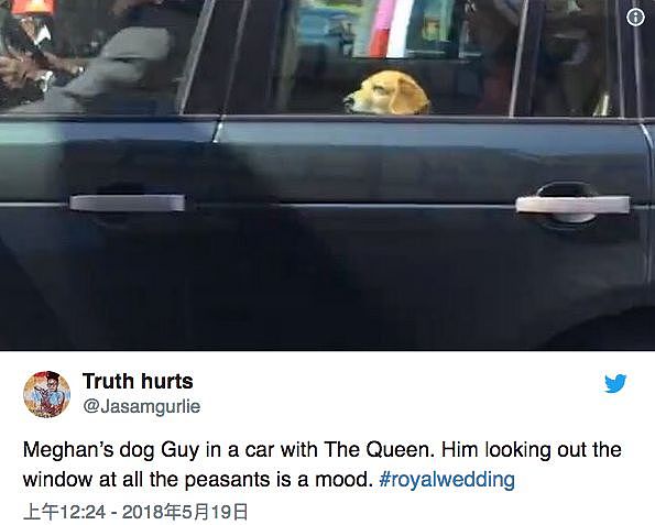 这只被放在安乐死名单里的狗，竟然出现在了英国王子的婚礼上！ - 3