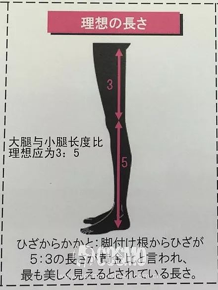 美人计丨这是美腿数据标准，但杨幂貌似不符合啊…… - 5