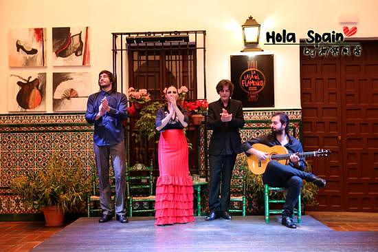 西班牙塞维利亚：邂逅弗拉明戈歌舞表演Flamenco - 28