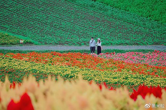 北海道红叶美食亲子游，适合家庭出行的最佳目的地 - 26
