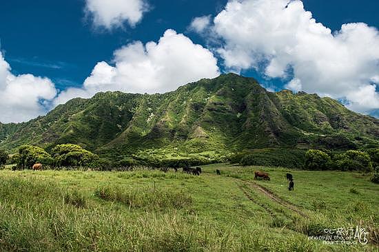 美国｜夏威夷欧胡岛·终年28度的海岛天堂 - 18