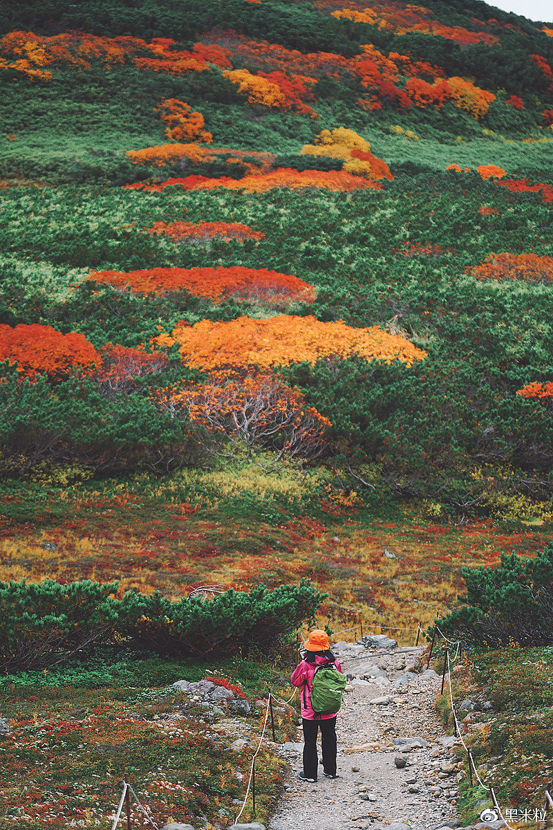 北海道红叶美食亲子游，适合家庭出行的最佳目的地 - 17