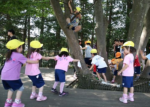 政府提供支援！日本敲定“育人革命”政策框架，大学教育将免收学费 - 3