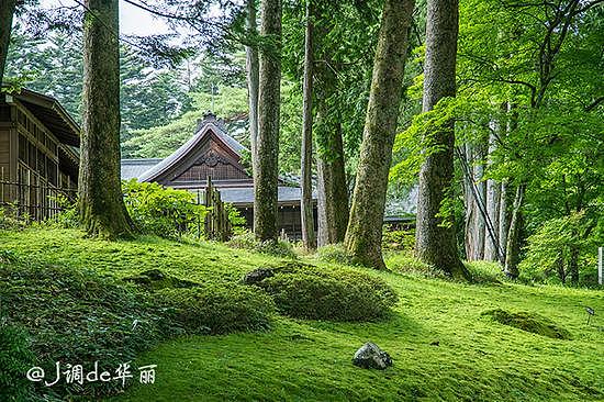 【日本】日光：德川幕府悠久力量的灵气之地 - 31