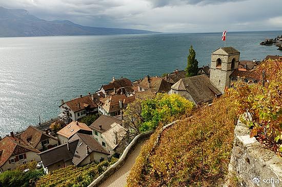 日内瓦湖畔的金色梯田，瑞士最“醉人”的秋色 - 21