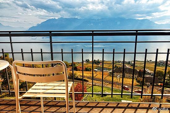 日内瓦湖畔的金色梯田，瑞士最“醉人”的秋色 - 1