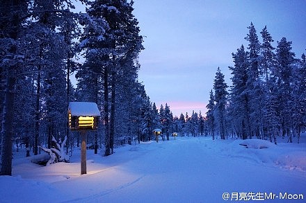 芬兰｜北极圈内的新年和第一道光线 - 6