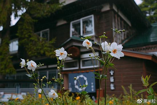 北海道红叶美食亲子游，适合家庭出行的最佳目的地 - 40