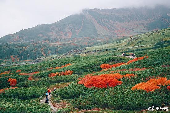 北海道红叶美食亲子游，适合家庭出行的最佳目的地 - 16
