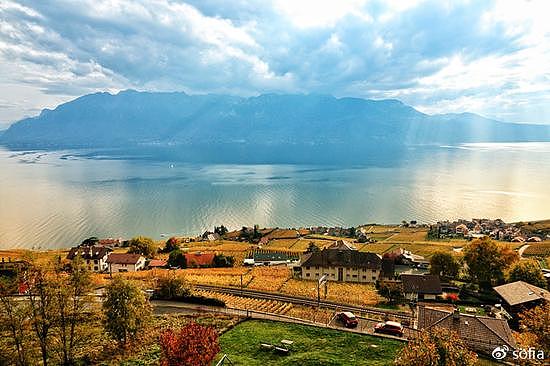 日内瓦湖畔的金色梯田，瑞士最“醉人”的秋色 - 2