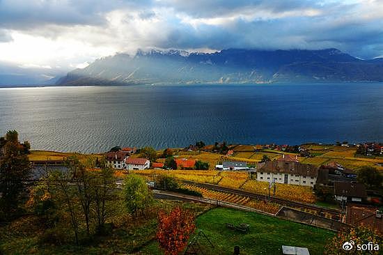 日内瓦湖畔的金色梯田，瑞士最“醉人”的秋色 - 37