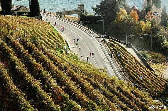 日内瓦湖畔的金色梯田，瑞士最“醉人”的秋色 - 31