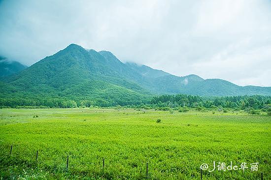 【日本】日光：德川幕府悠久力量的灵气之地 - 51