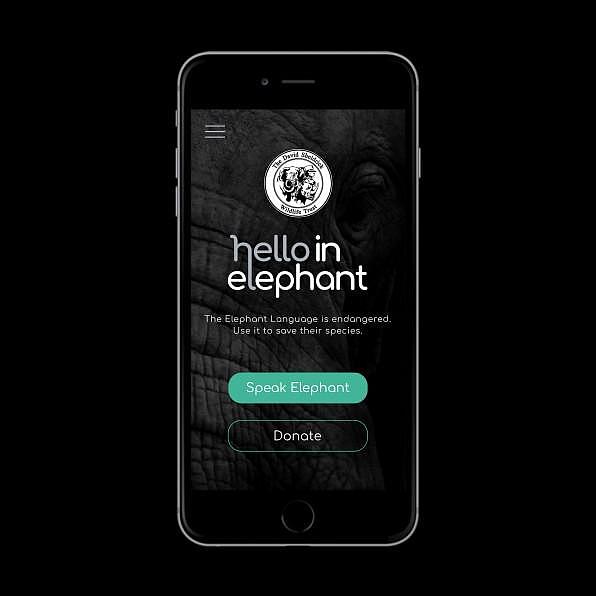 假如你成了大象？这款应用能帮你翻译“大象语”，亲身体验动物世界