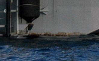 辽宁号航母水线大量起锈，港媒竟称是军纪涣散保养太差？