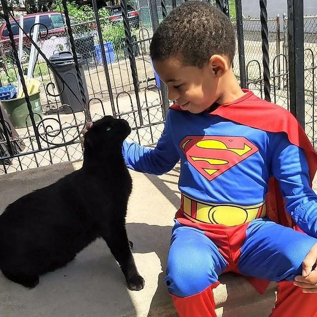 5岁小男孩化身超级英雄上街顾浪猫，天天换装行侠仗义成功收服它