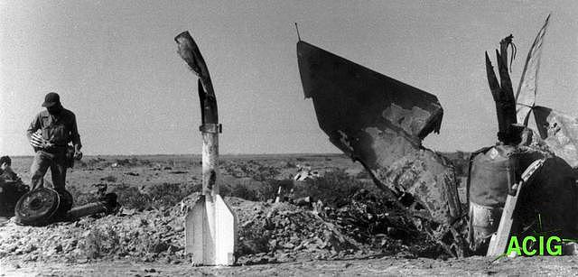 历史的迷雾，伊朗雄猫如何创造不死鸟空空导弹的首个战绩