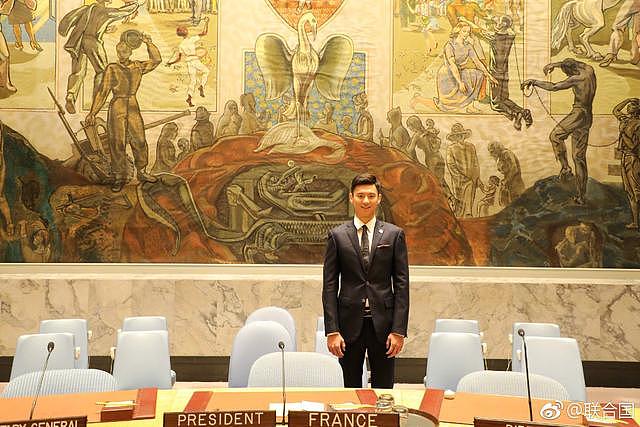 宁泽涛获得联合国的点赞：人见人爱，花见花开的国民老公！
