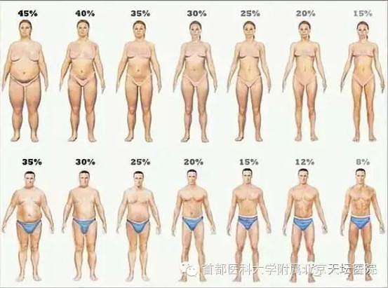 你体内的脂肪有没超标？这个简单等式一算就知
