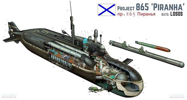 俄军要配专用特种战潜艇？P-650型可装巡航导弹也可装蛙人
