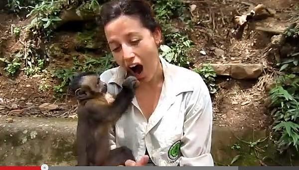 小猴子一边啃着饲料，一边把饲料塞进姐姐的嘴里分享，太可爱了！