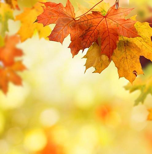 秋季如何养生？名中医从这3个方面帮你降“秋燥”！
