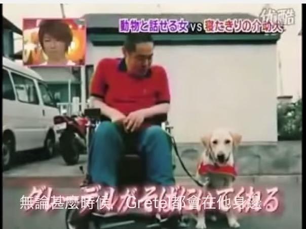 导盲犬不离不弃陪伴主人15年，直到最后老到全身瘫痪太催泪了！