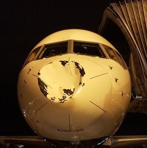 航空公司：雷霆客机可能撞到一只鸟