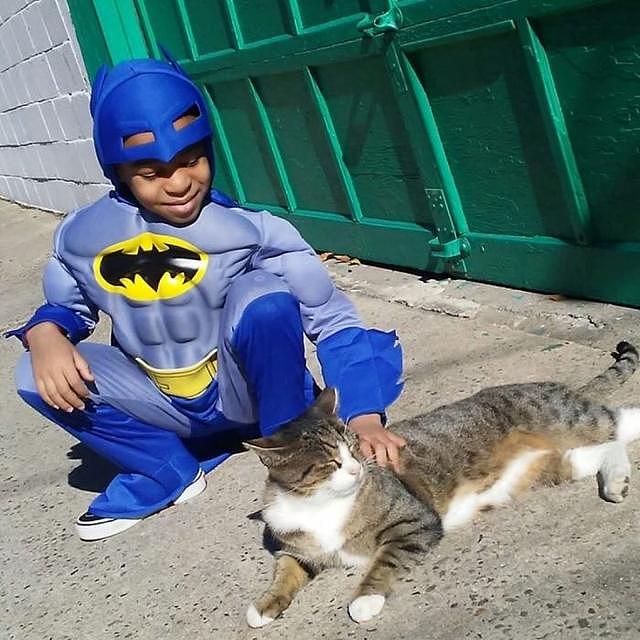 5岁小男孩化身超级英雄上街顾浪猫，天天换装行侠仗义成功收服它