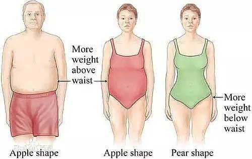 身材像苹果最容易瘦下来，2步狂削赘肉 ‖ 完美体态 - 6