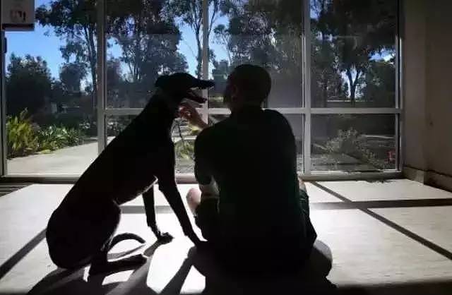 最近，西澳这家监狱震惊了全世界：他们向最残暴的罪犯放最凶残的狗，结果… - 36