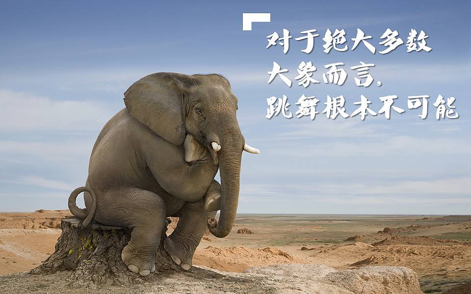 吴晓波：如果大象就是不会跳舞，怎么办？ - 2
