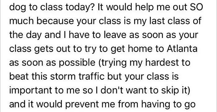 因飓风侵袭，一名大学生想带着狗狗一起上课，没想到老师的反应赞爆了！ - 4